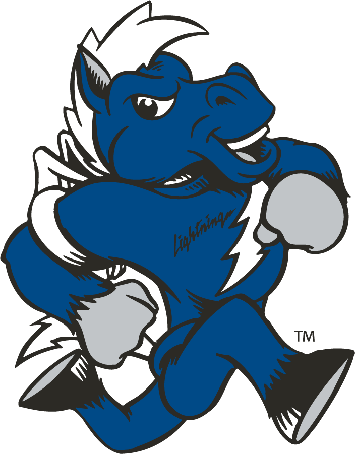 Middle Tennessee Blue Raiders 1998-2015 Mascot Logo diy iron on heat transfer